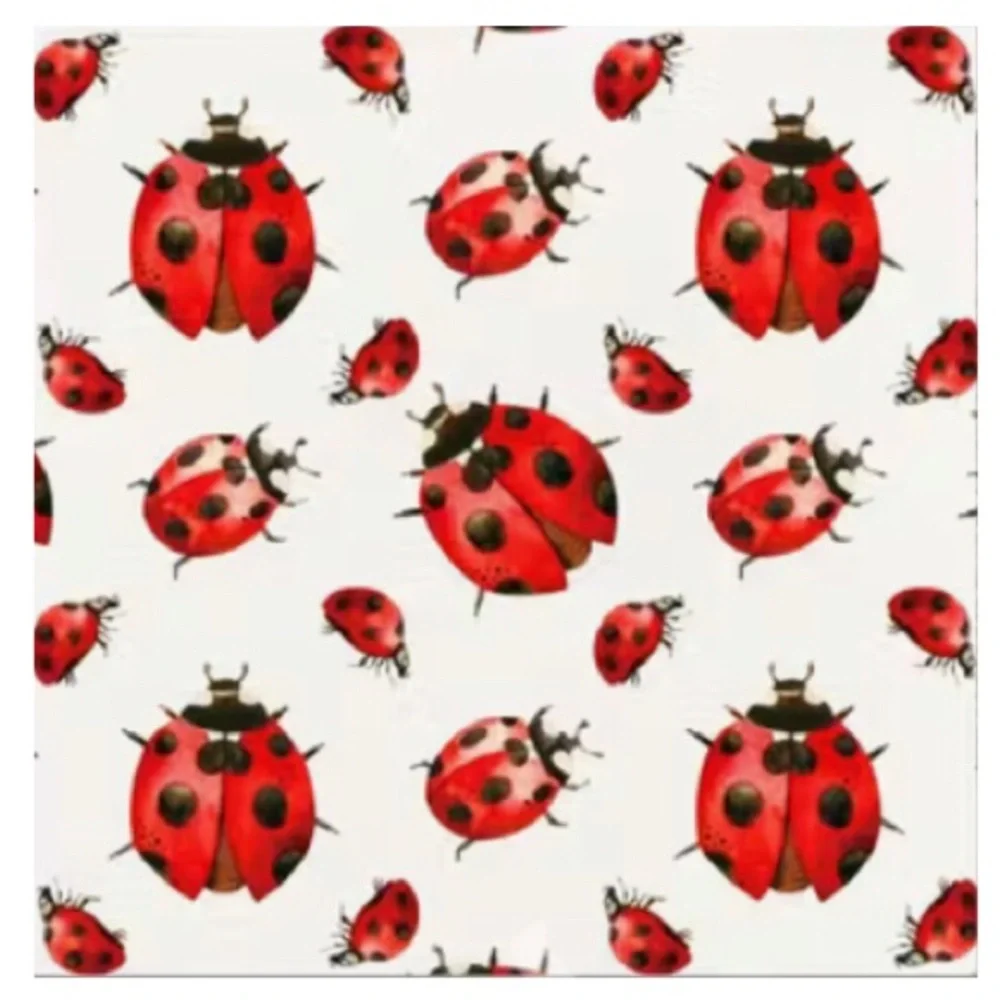 Set of 20 Assorted Ladybug Floral Luncheon Paper Napkins (5 ea of 4 Designs)